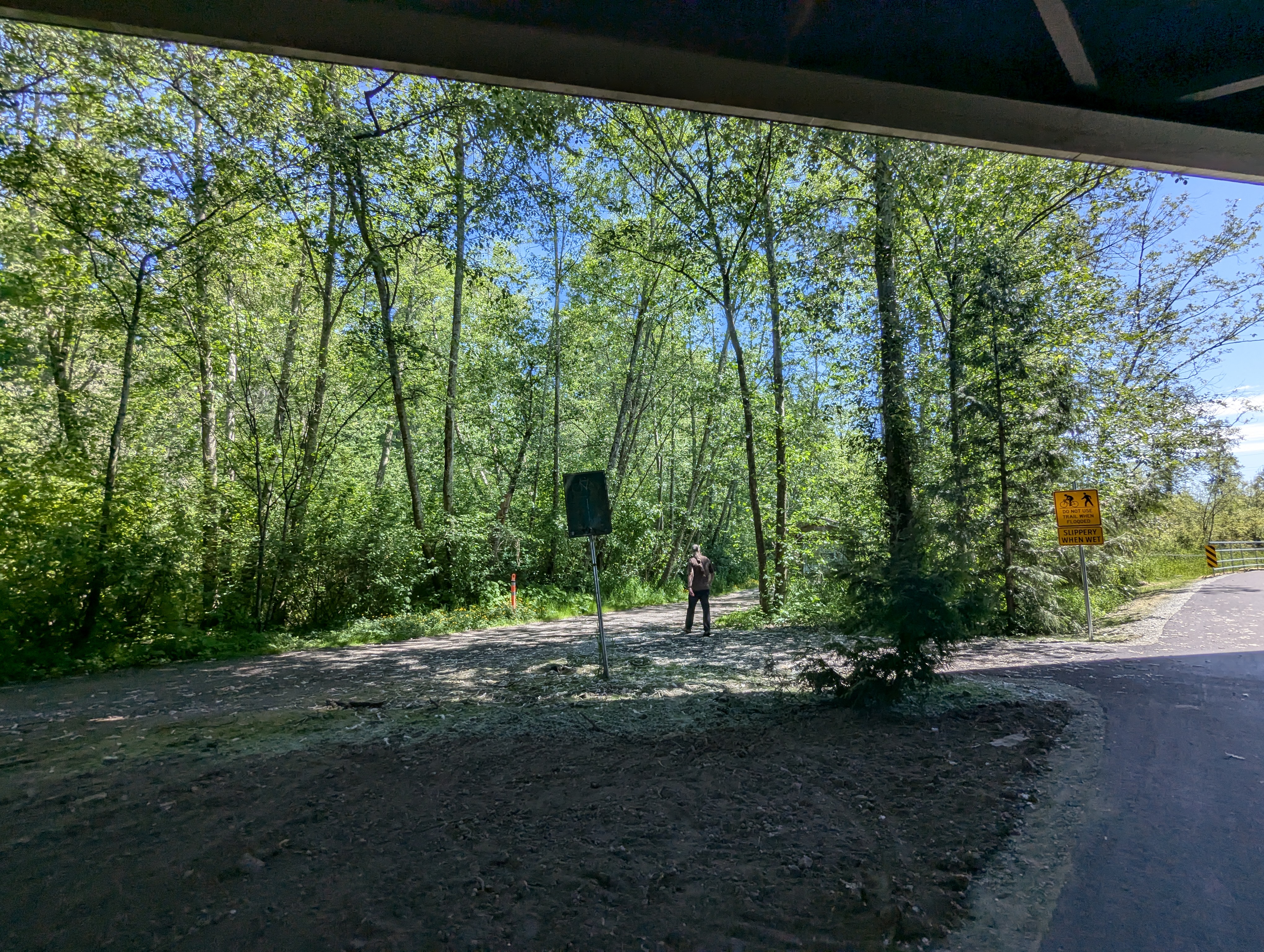 Birthday Trip to Canada, Delta, Burns Bog, Vancouver, British Columbia